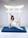 Kung Fu Cricket, 2002
